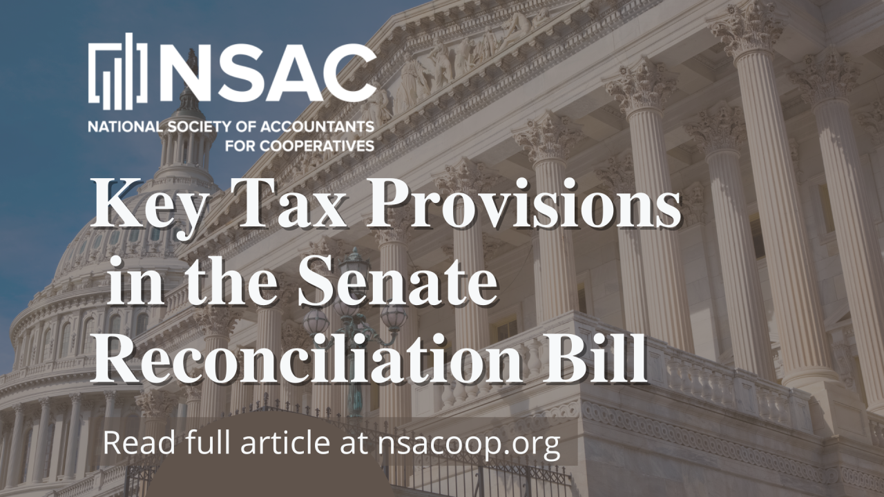 Key Tax Provisions in the Senate Reconciliation Bill