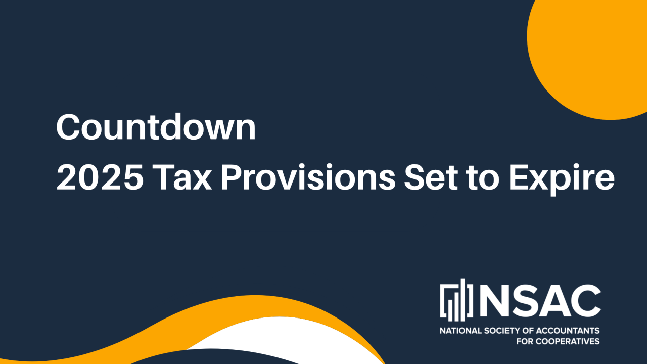 Countdown: 2025 Tax Provisions Set to Expire